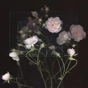 动漫 得到 可爱 讨厌
